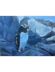 Pingouin Adélie